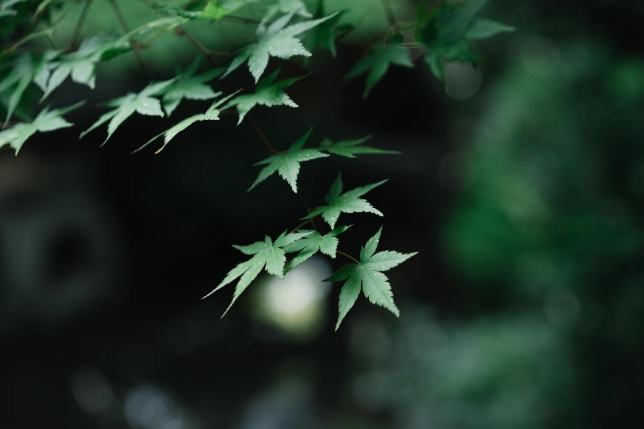 Kyoto Nanzenji Ryokan Yachiyo Established In 1915 Zewnętrze zdjęcie