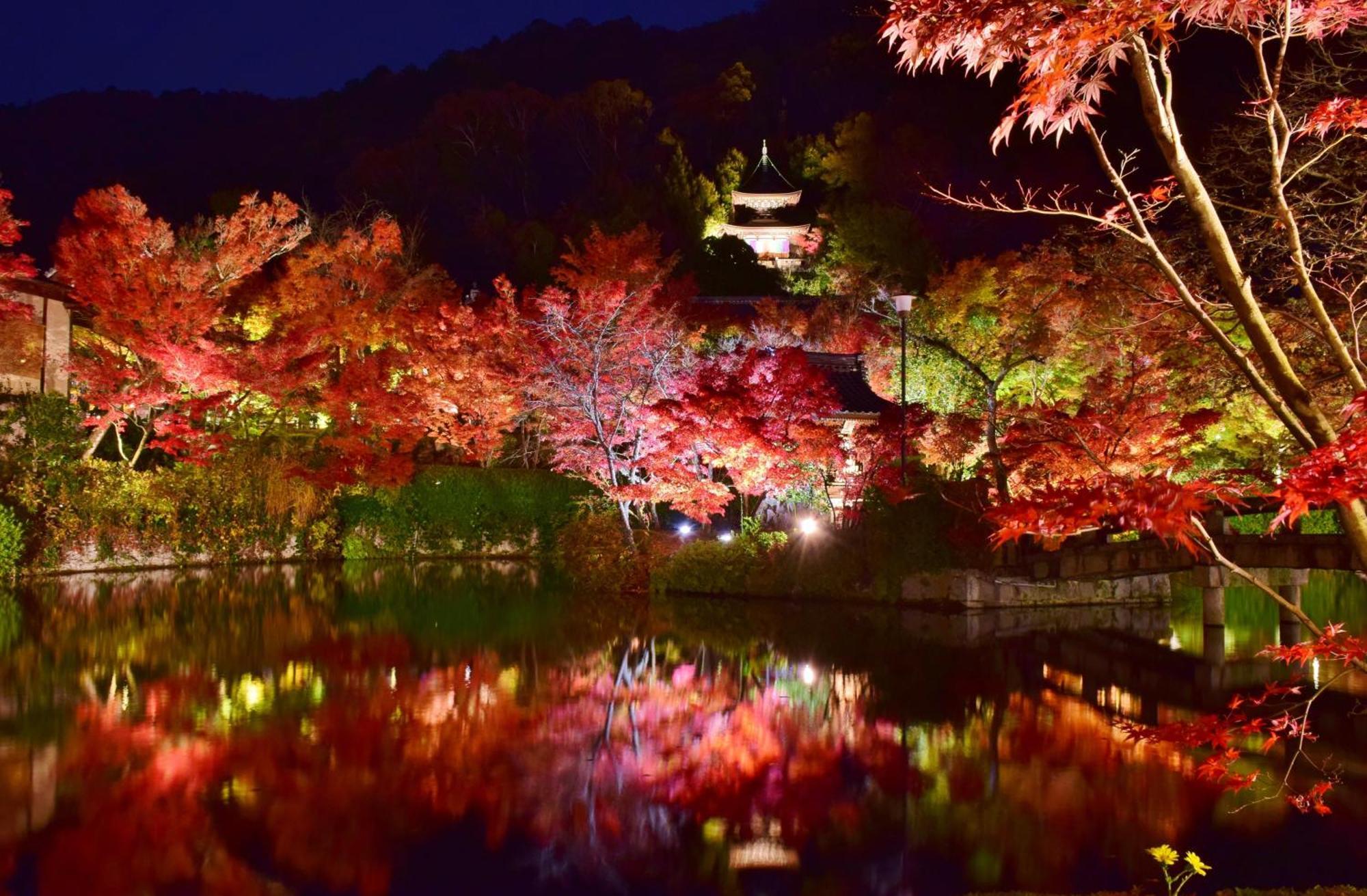 Kyoto Nanzenji Ryokan Yachiyo Established In 1915 Zewnętrze zdjęcie